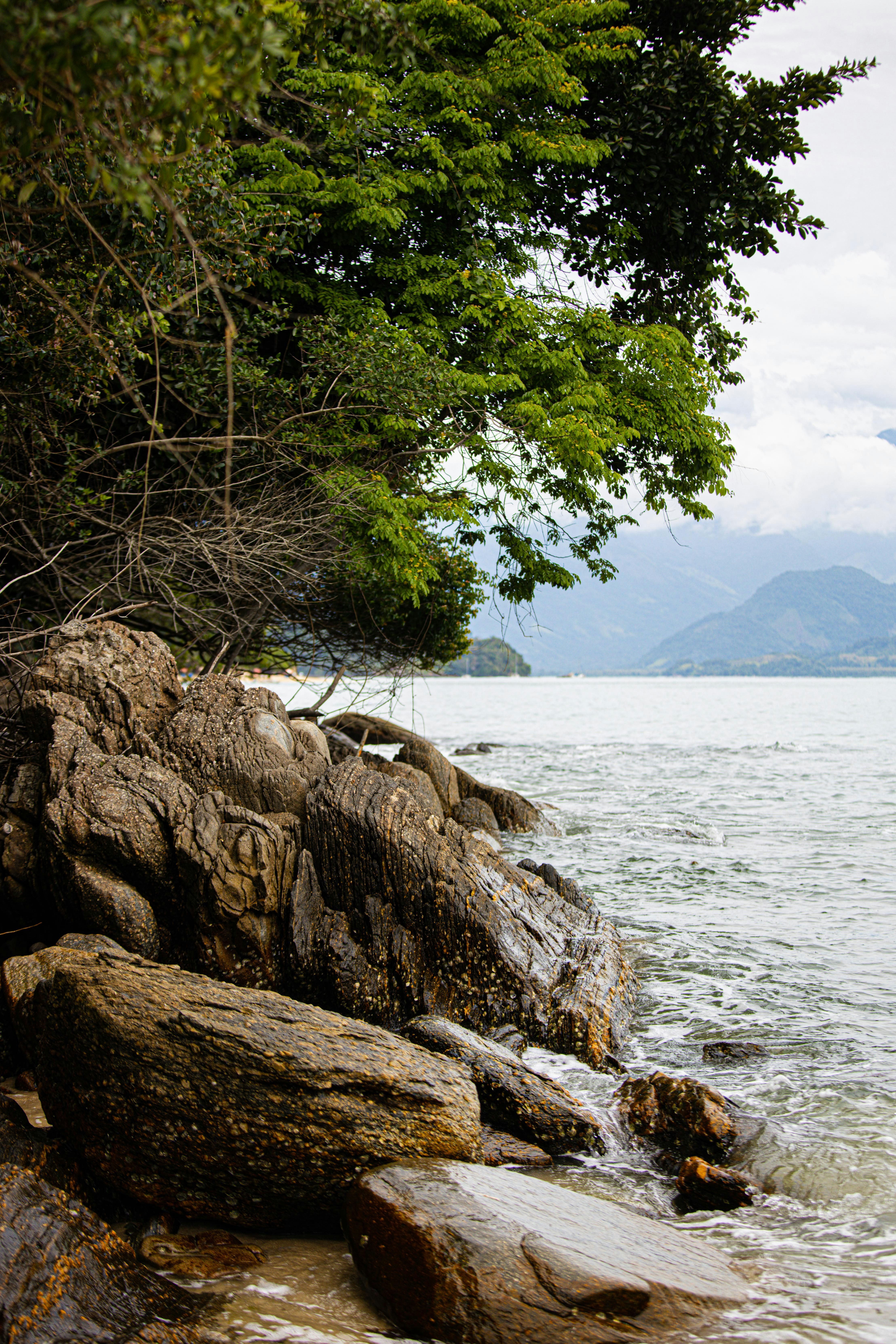 Photo by daniloalvesd