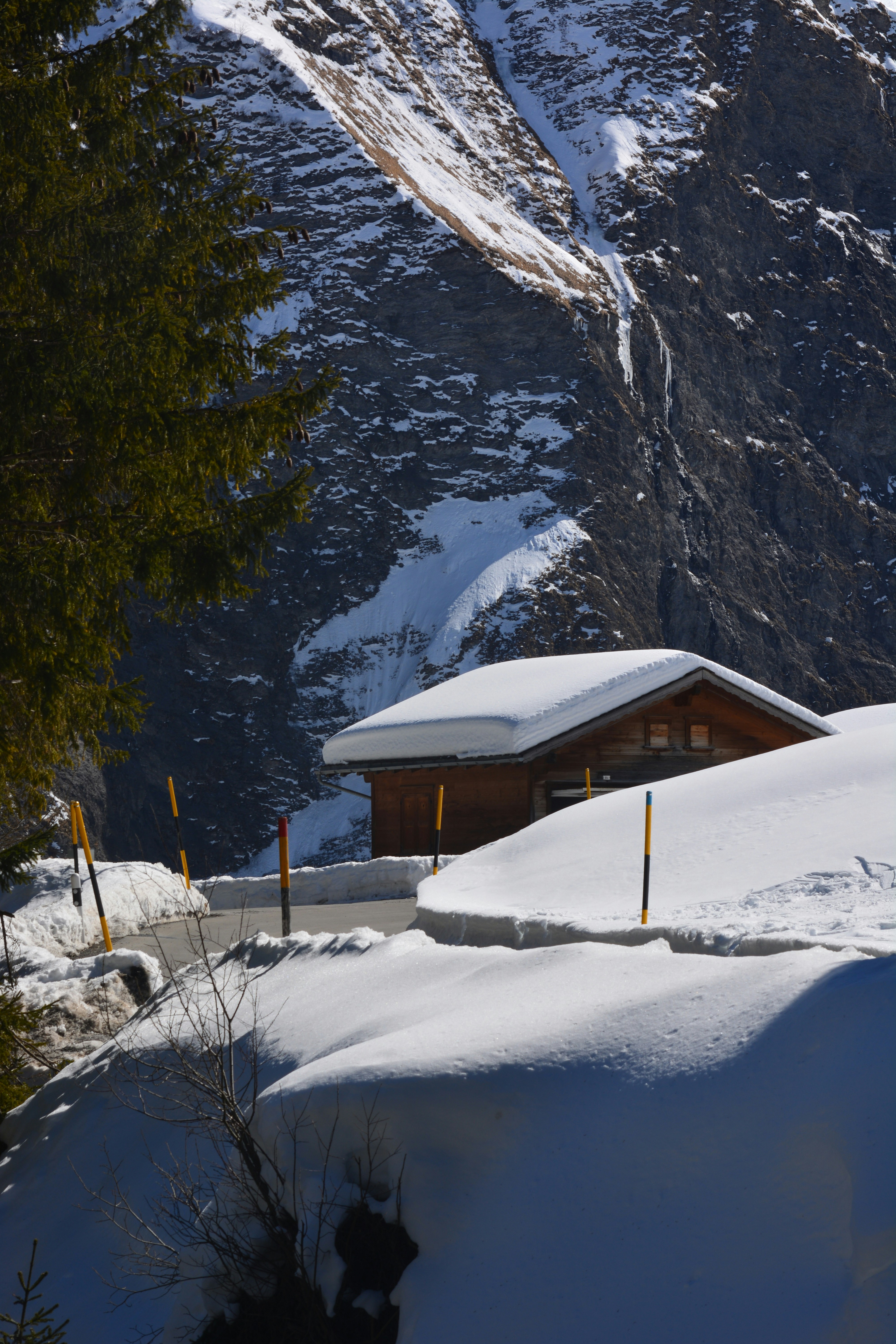 Photo by pedrino5_official