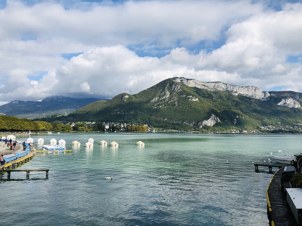 white swan on body of water near mountain under white clouds during daytime