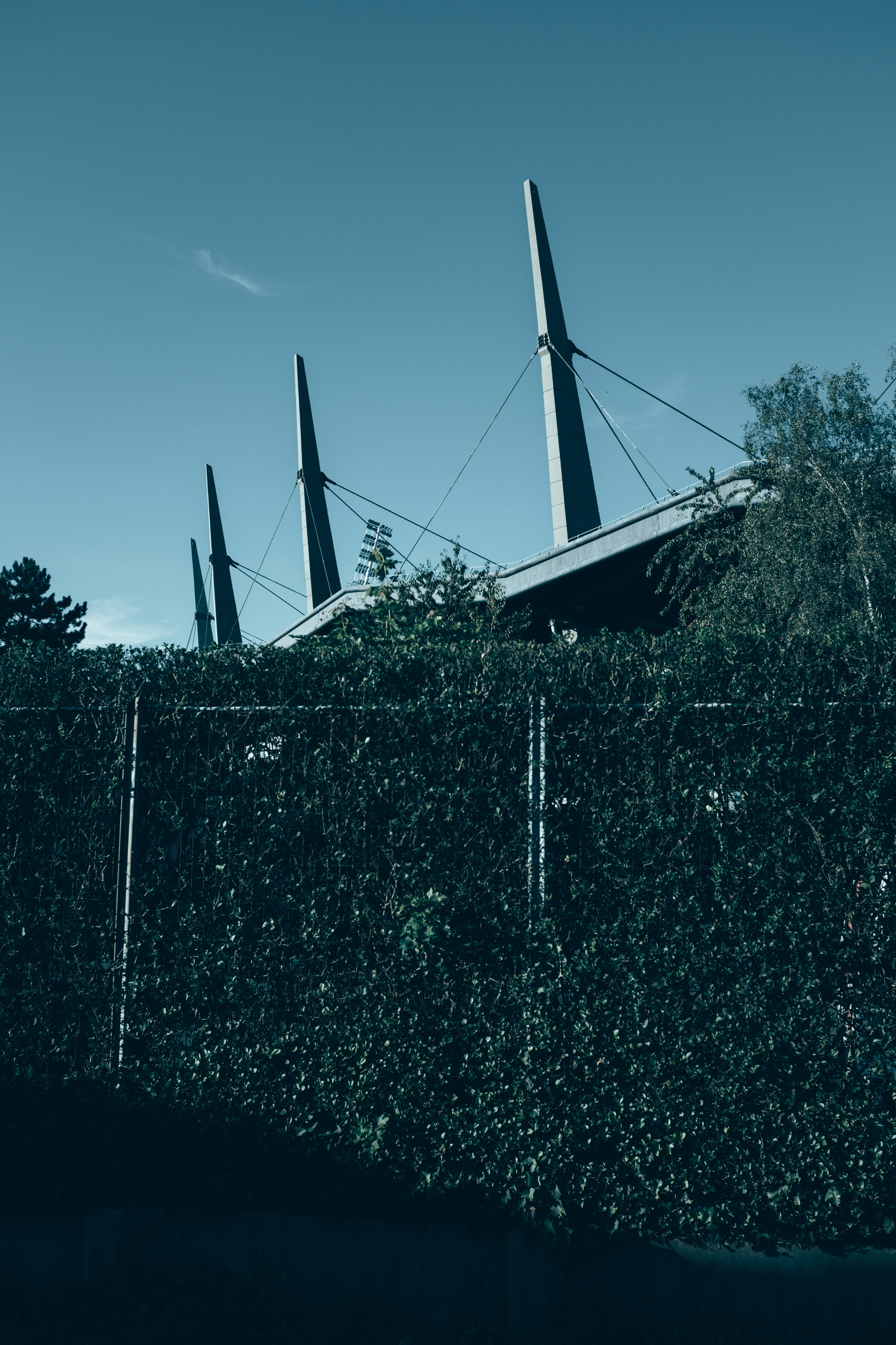 Ein hohes Gebäude neben einer üppigen grünen Hecke
