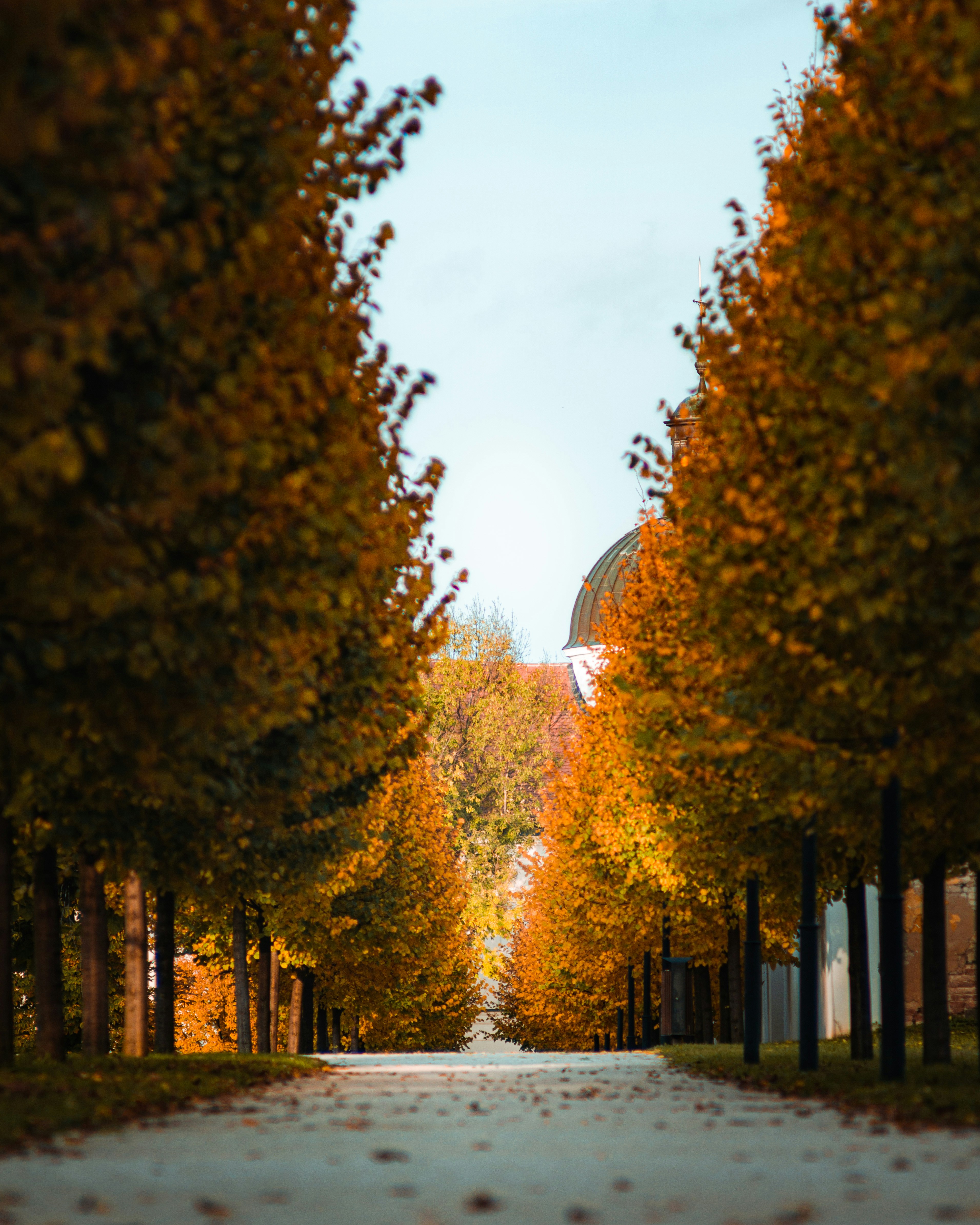 Photo by arnold_katz_