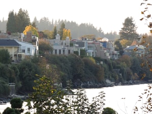 A row of modern houses is situated along a waterfront, surrounded by lush greenery and trees with autumn foliage. The architecture is varied with large windows and contemporary designs, overlooking the water that reflects the soft light of the sky.