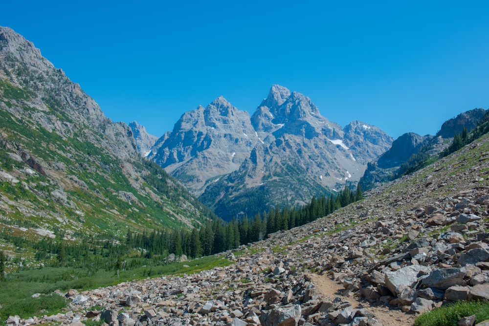 green trees on rocky ground near mountains under blue sky during daytime