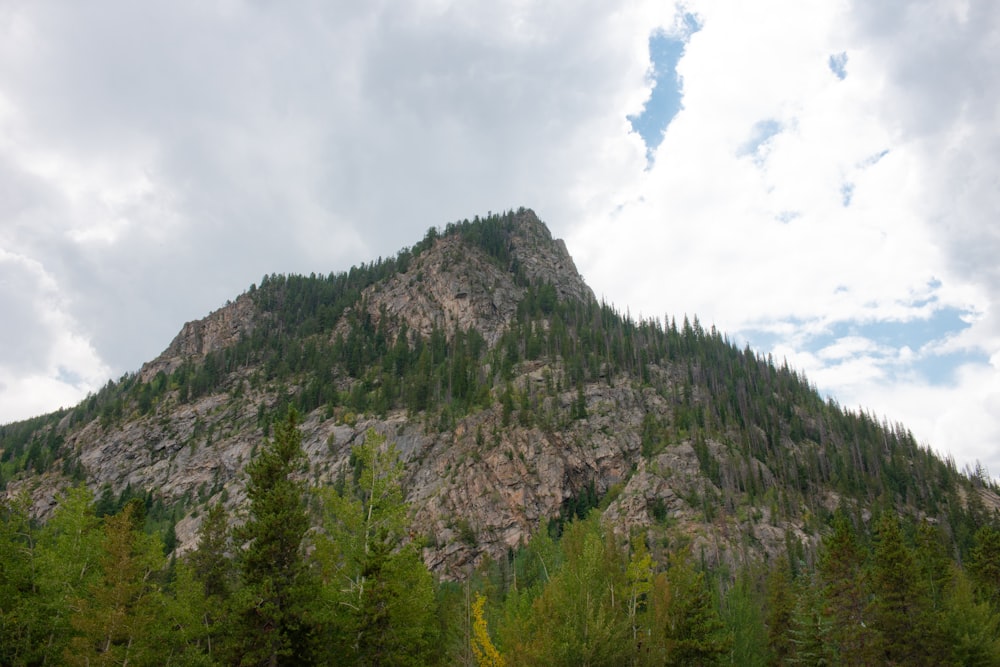 green trees on mountain under cloudy sky during daytime