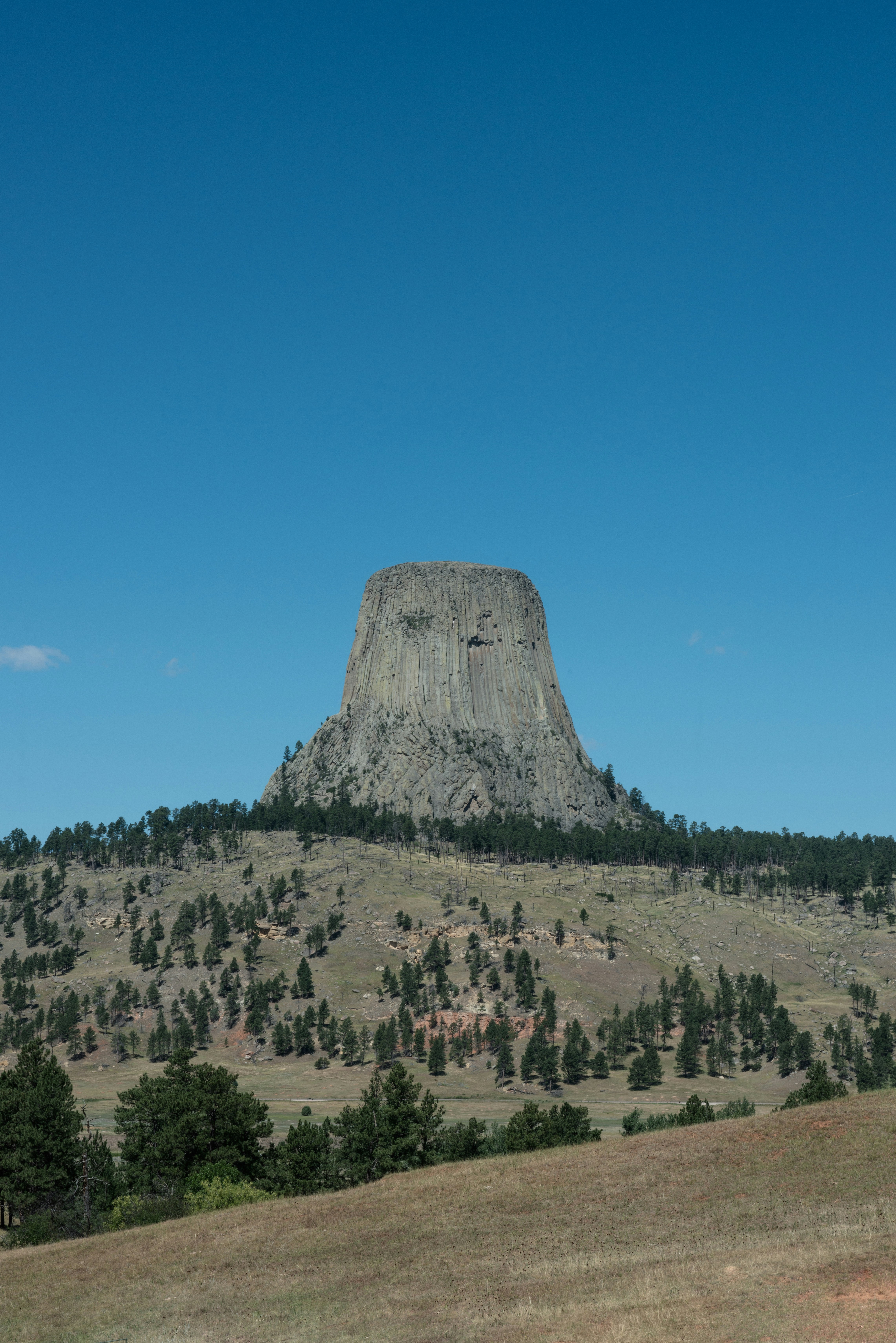 arbres verts sur la montagne sous le ciel bleu pendant la journée