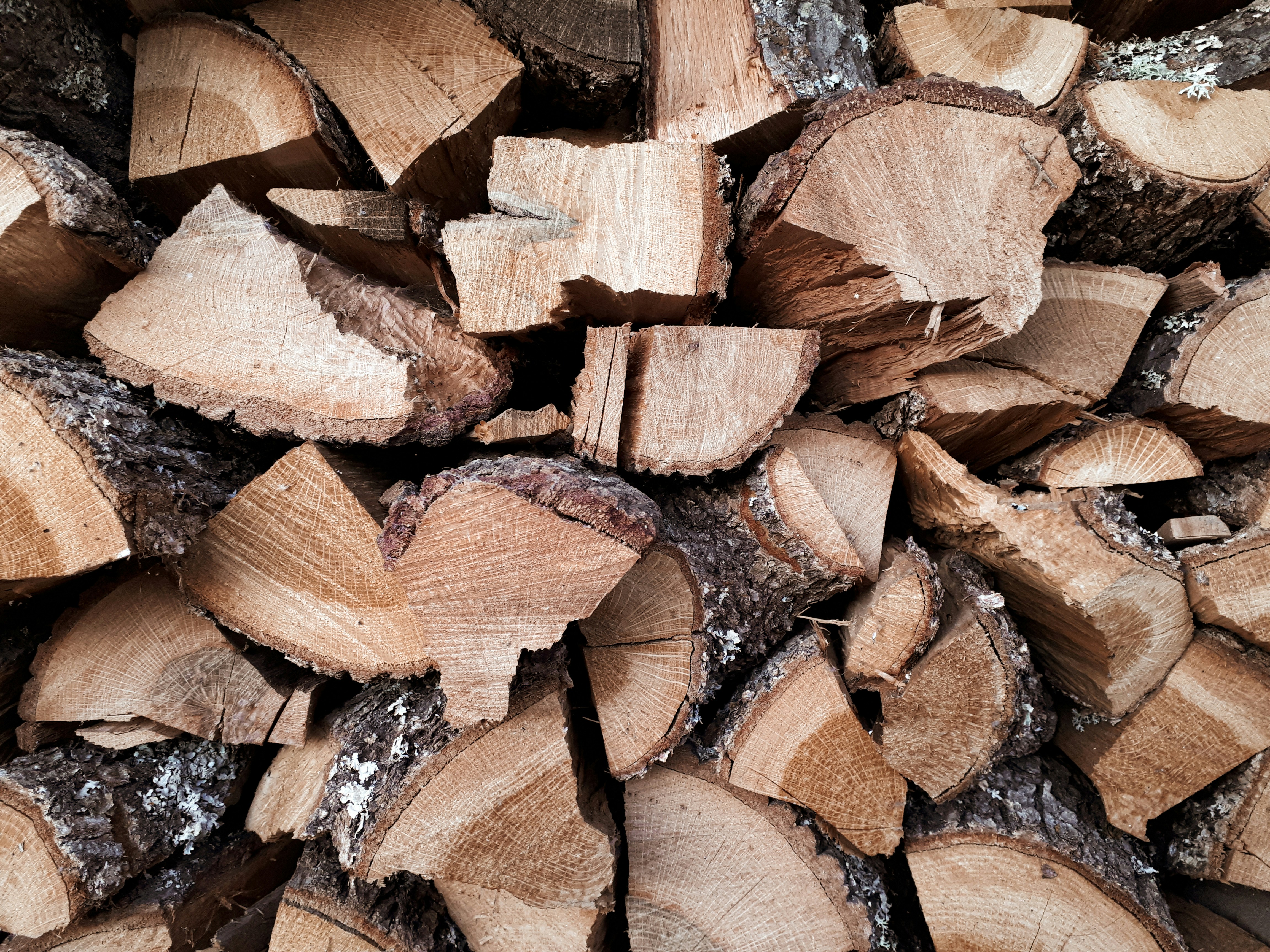 Photo by natalie1806