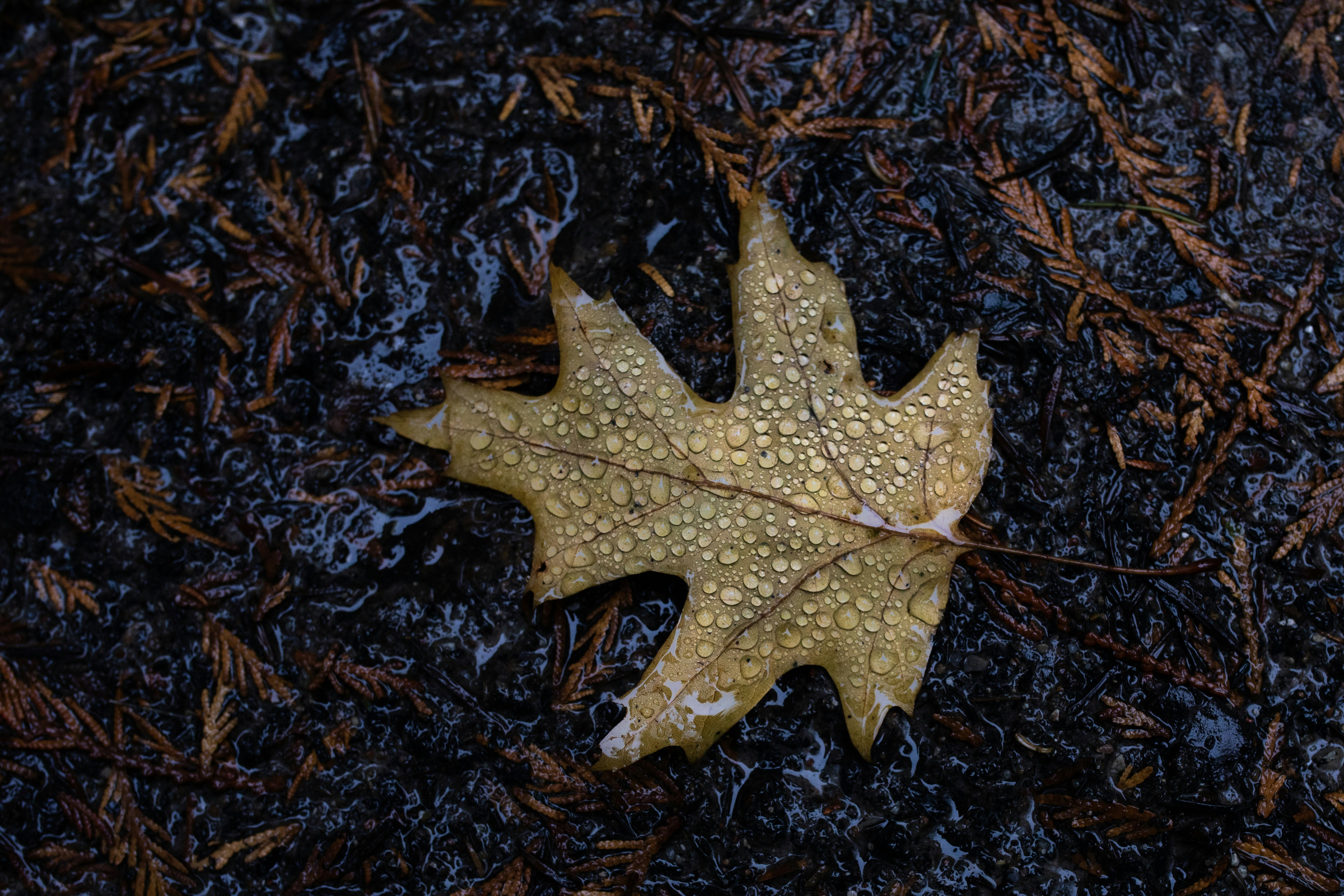 Photo by bheiberg