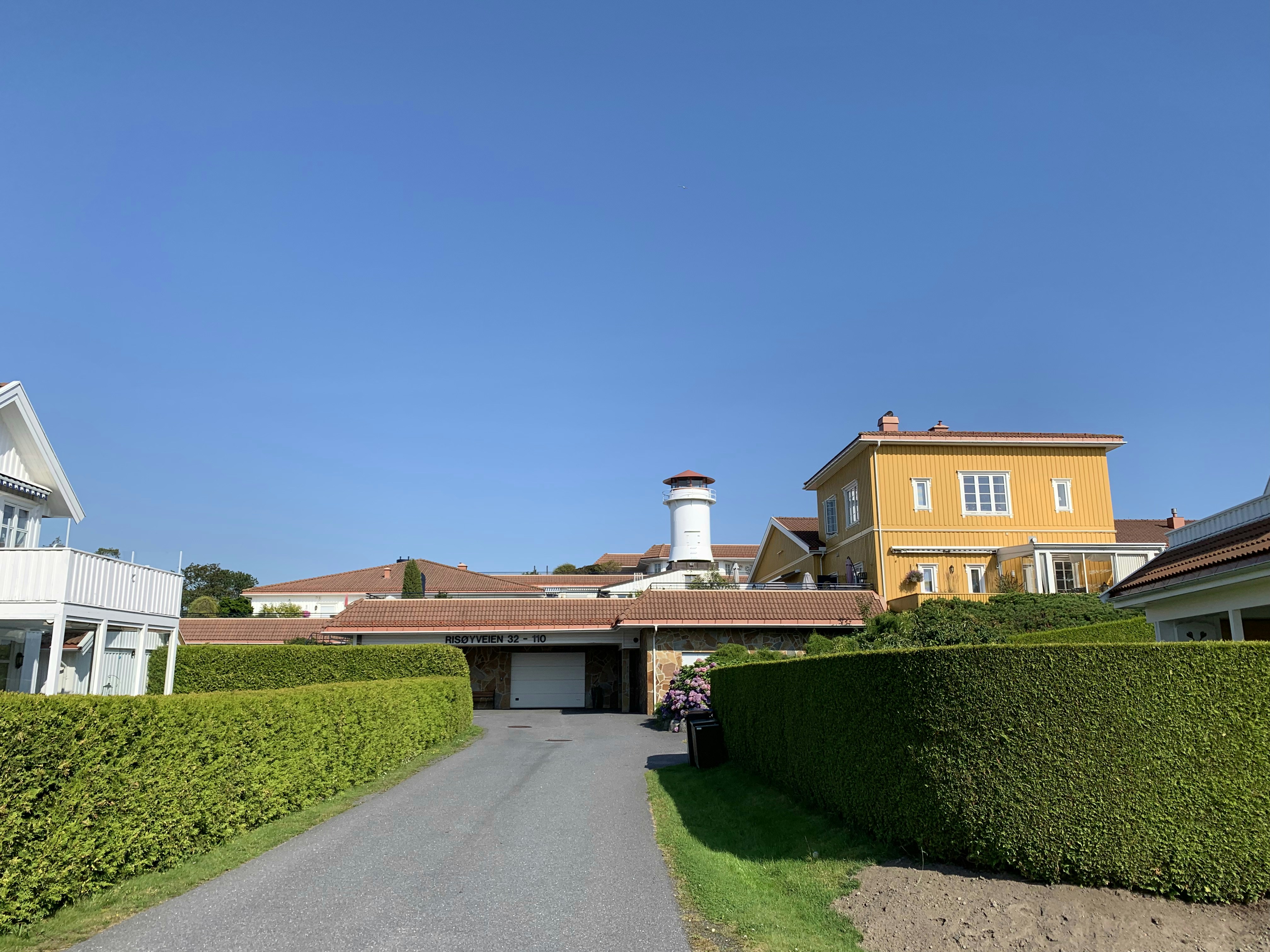 Neatly trimmed hedges and shrubs along a residential driveway