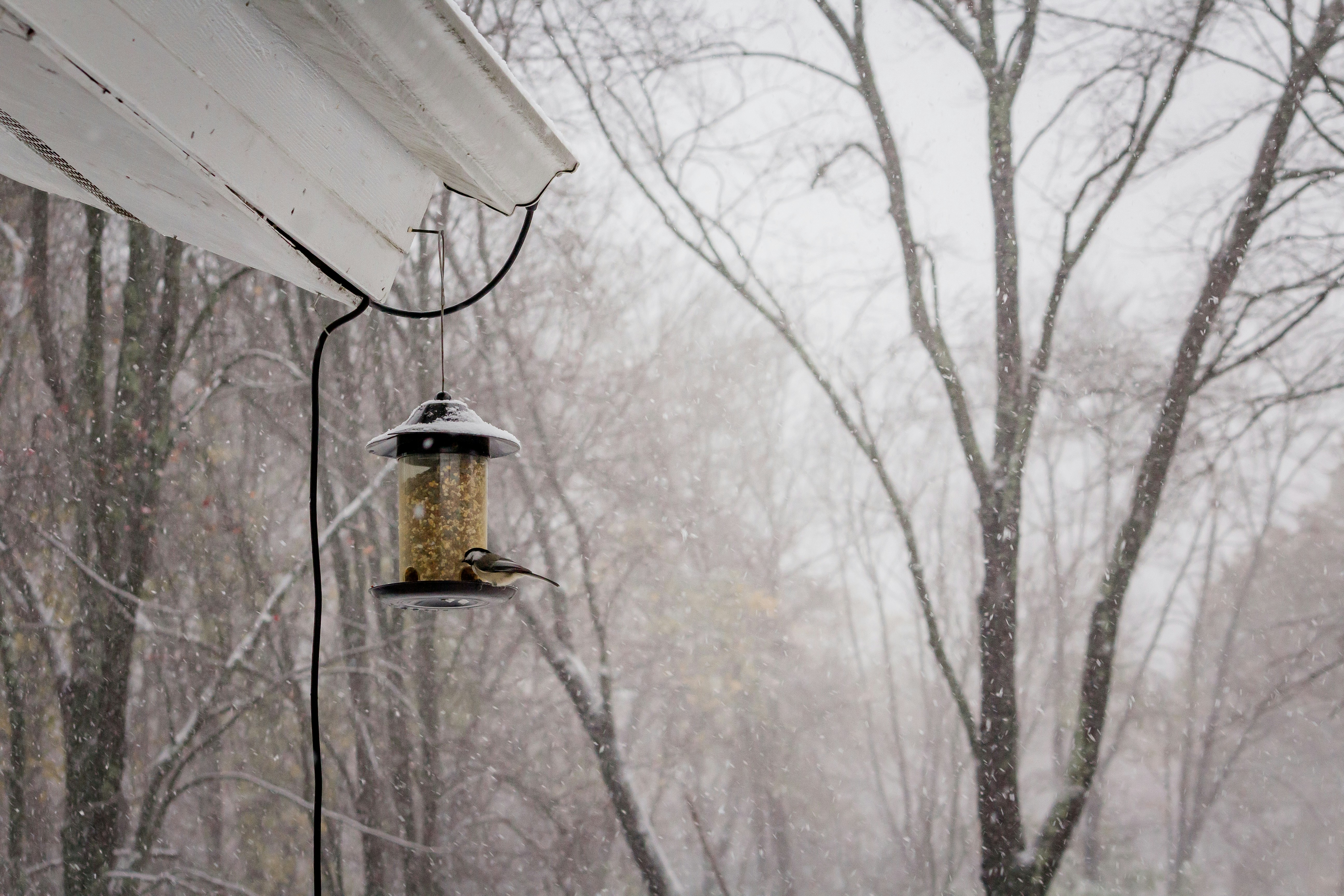 Photo by bonniekdesign