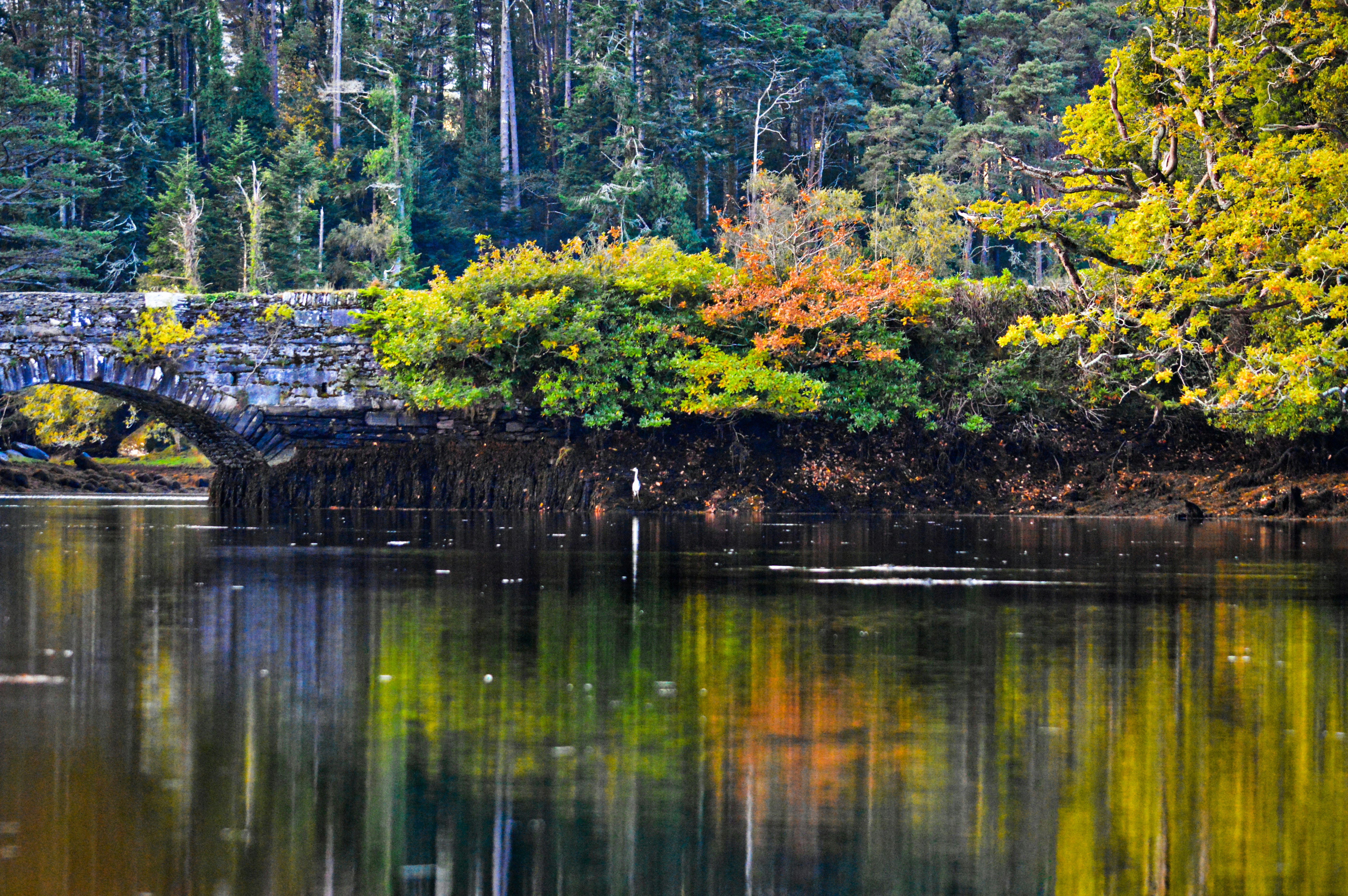 Kinross Lake Park