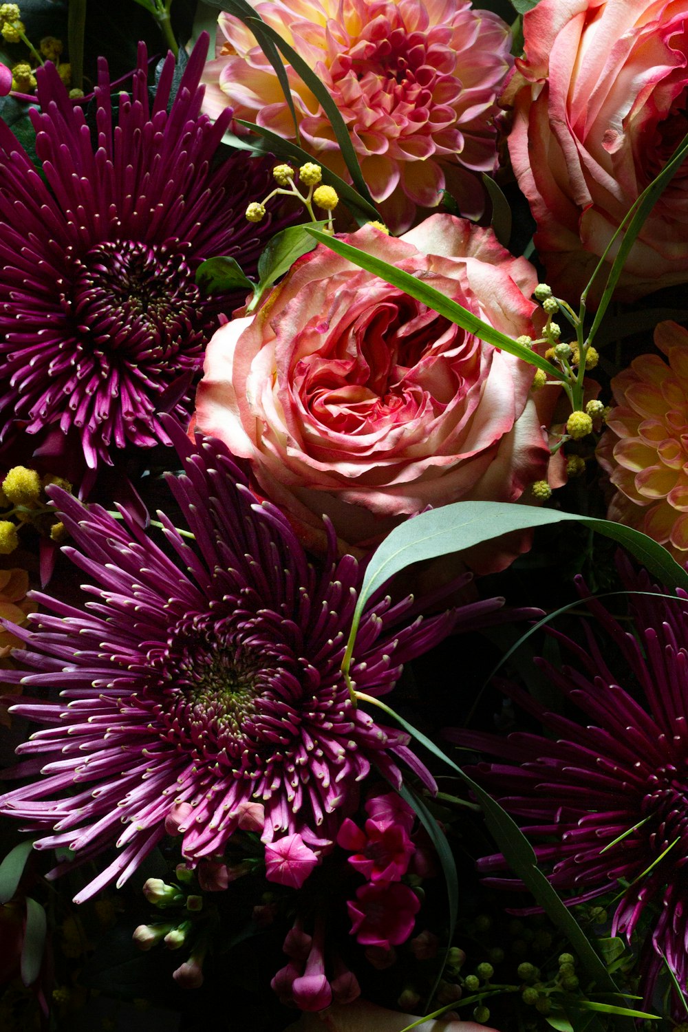 pink and white flower with green leaves