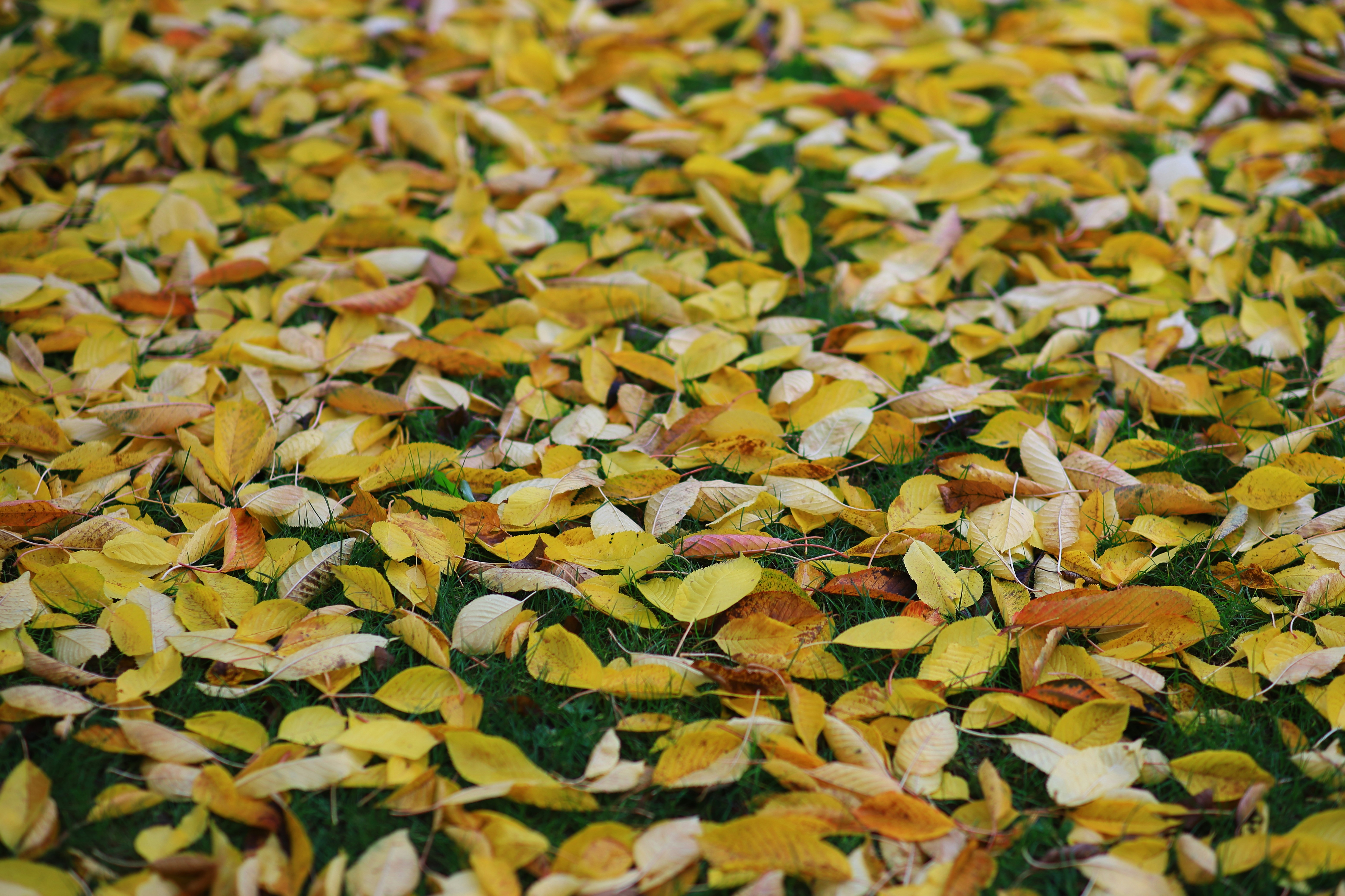 Photo by stefanhaderlein