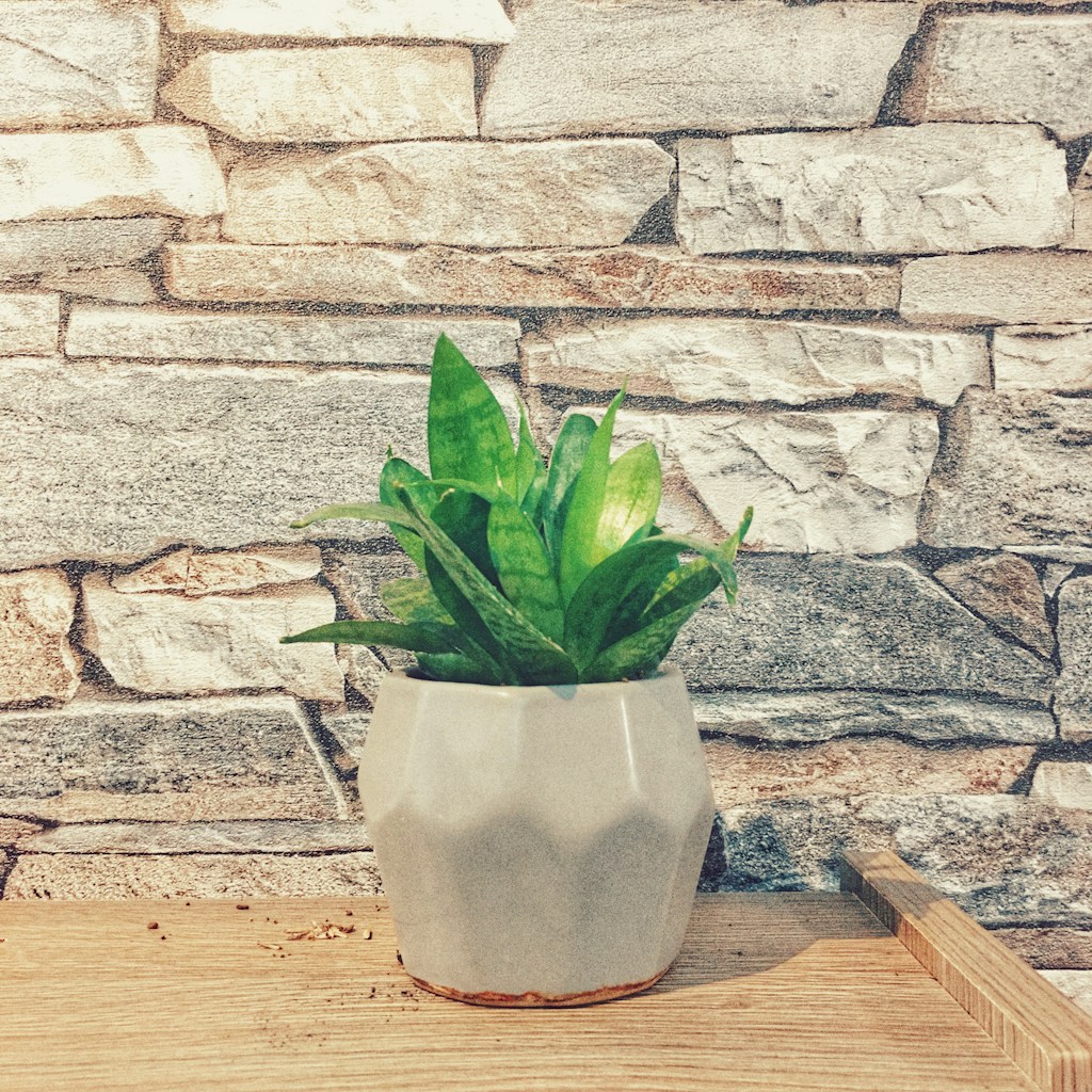 Sage Plant Hanger