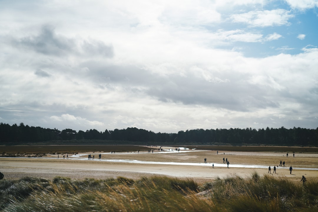 white sand beach under cloudy sky during daytime