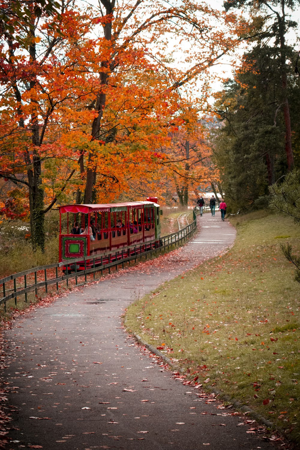 red train on rail road