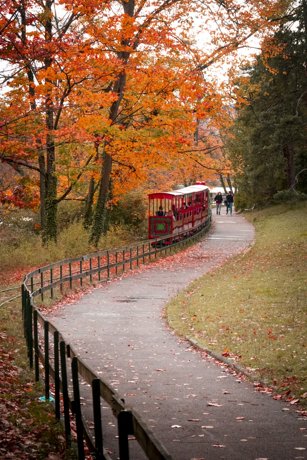 people walking on pathway between trees during daytime