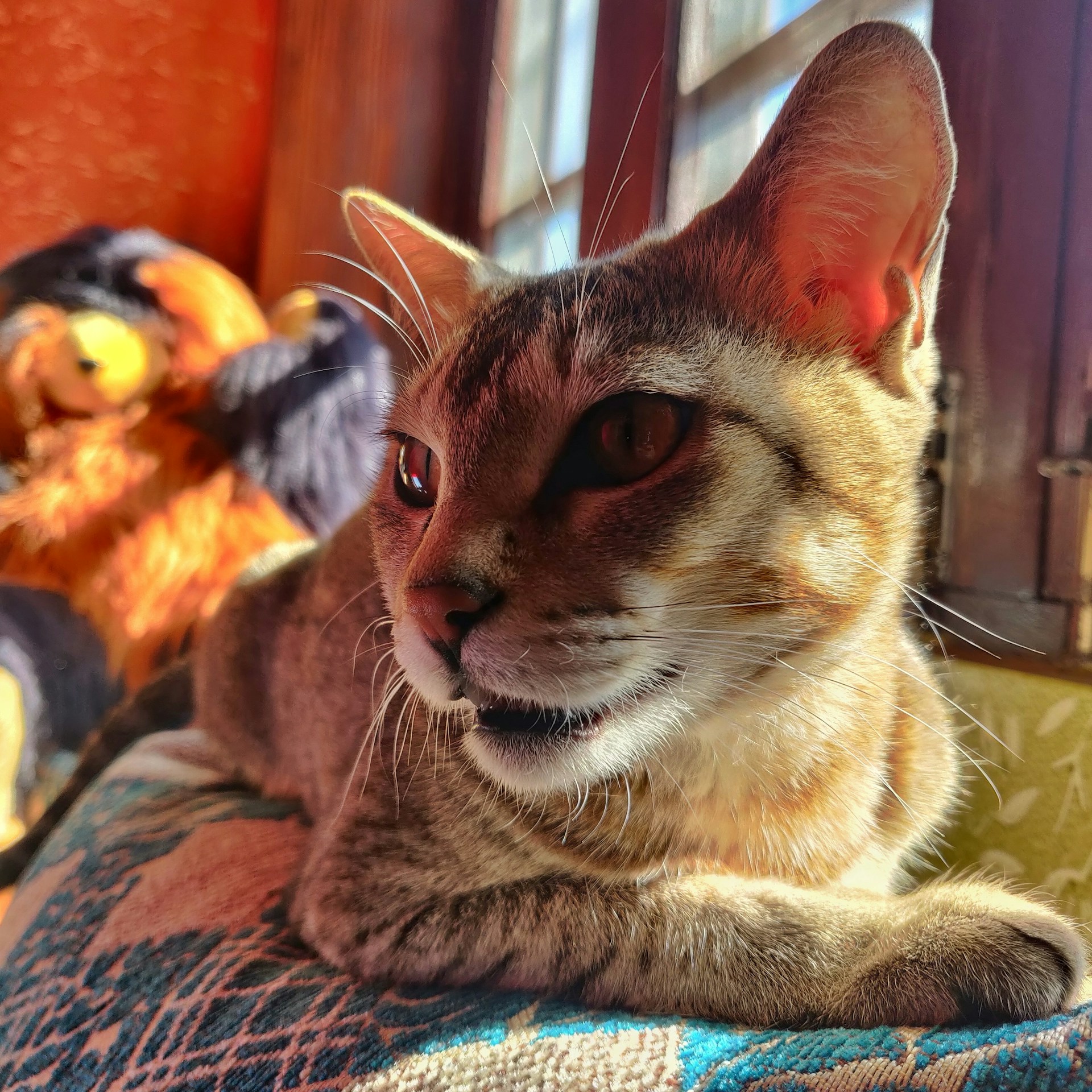 gray computer monitor