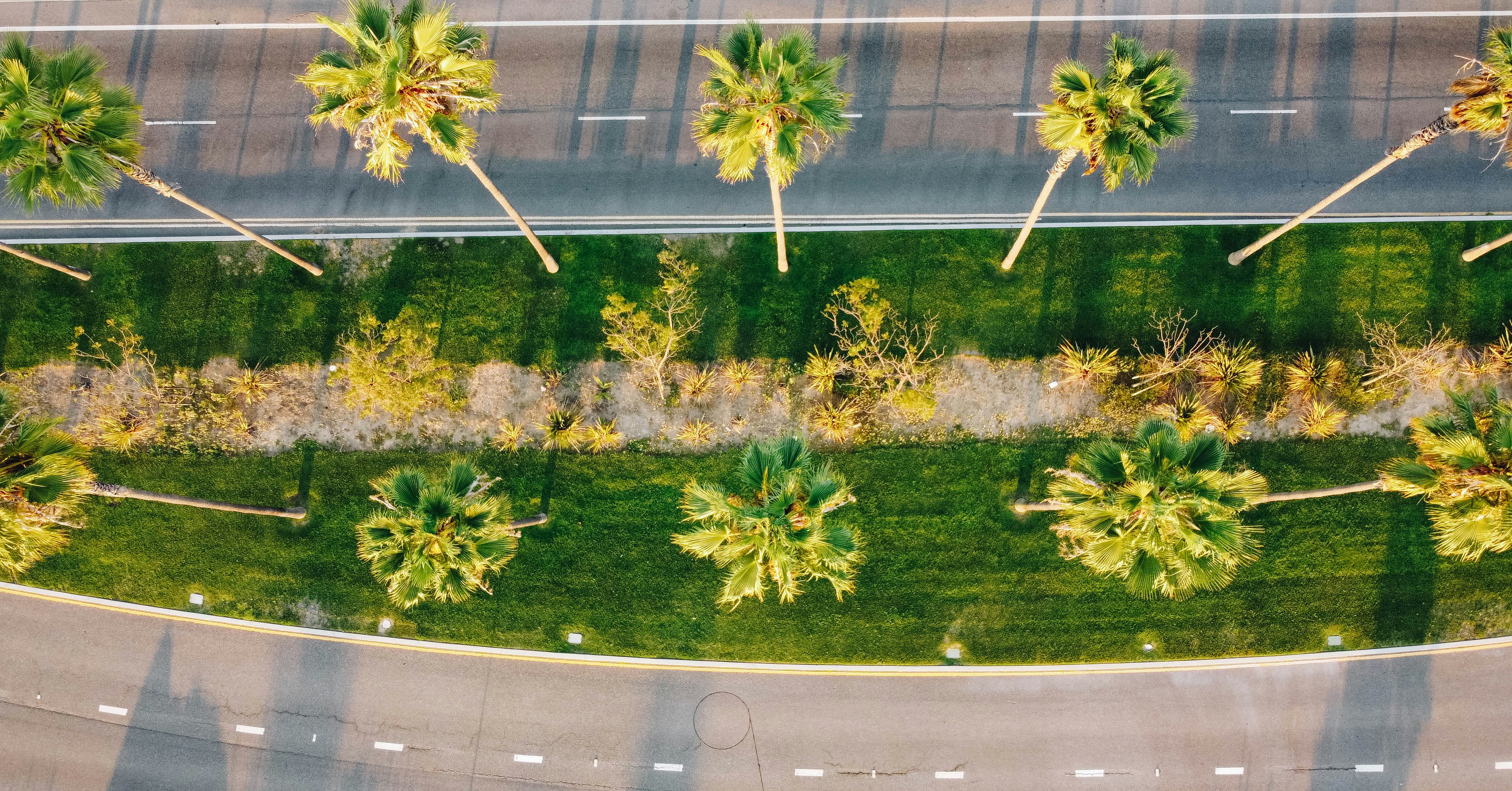 green grass field near road during daytime