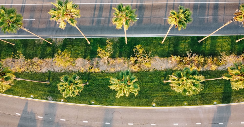 Campo de hierba verde cerca de la carretera durante el día