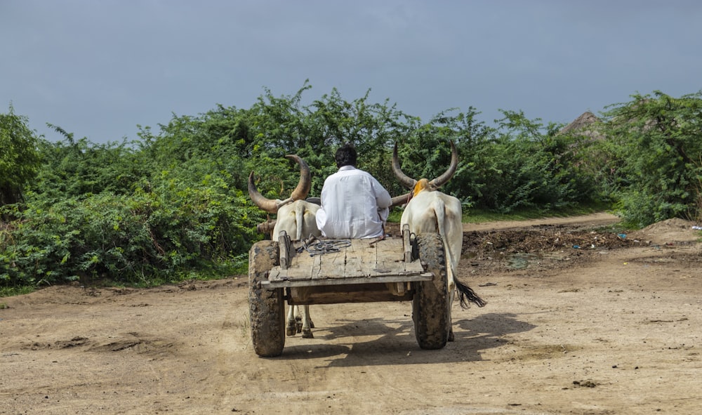 man in white thobe sitting on brown wooden bench during daytime