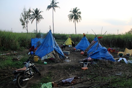 A rural campsite with makeshift tents made of blue and yellow tarps is set up amidst tall grass and palm trees. Various items like a motorcycle, buckets, and cooking utensils are scattered around the site. The scene is tranquil with a clear sky suggesting early morning or late afternoon.