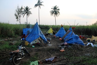 A rural campsite with makeshift tents made of blue and yellow tarps is set up amidst tall grass and palm trees. Various items like a motorcycle, buckets, and cooking utensils are scattered around the site. The scene is tranquil with a clear sky suggesting early morning or late afternoon.