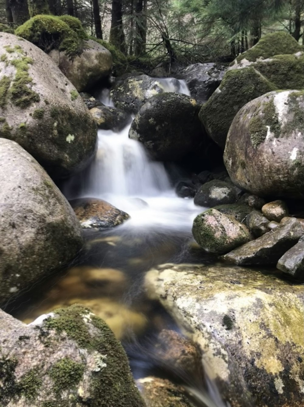 gray and brown rocks on river