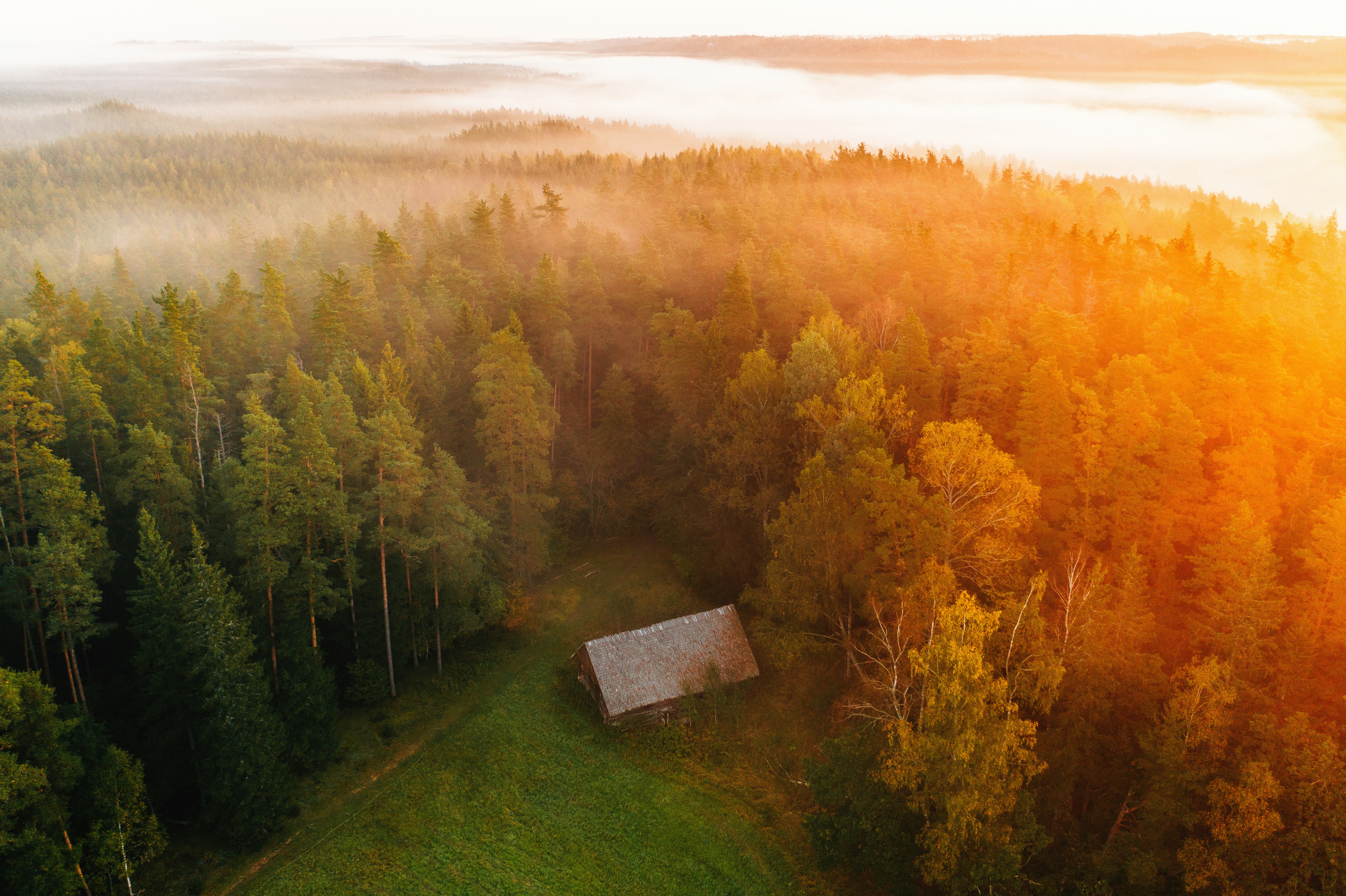 green grass field wi