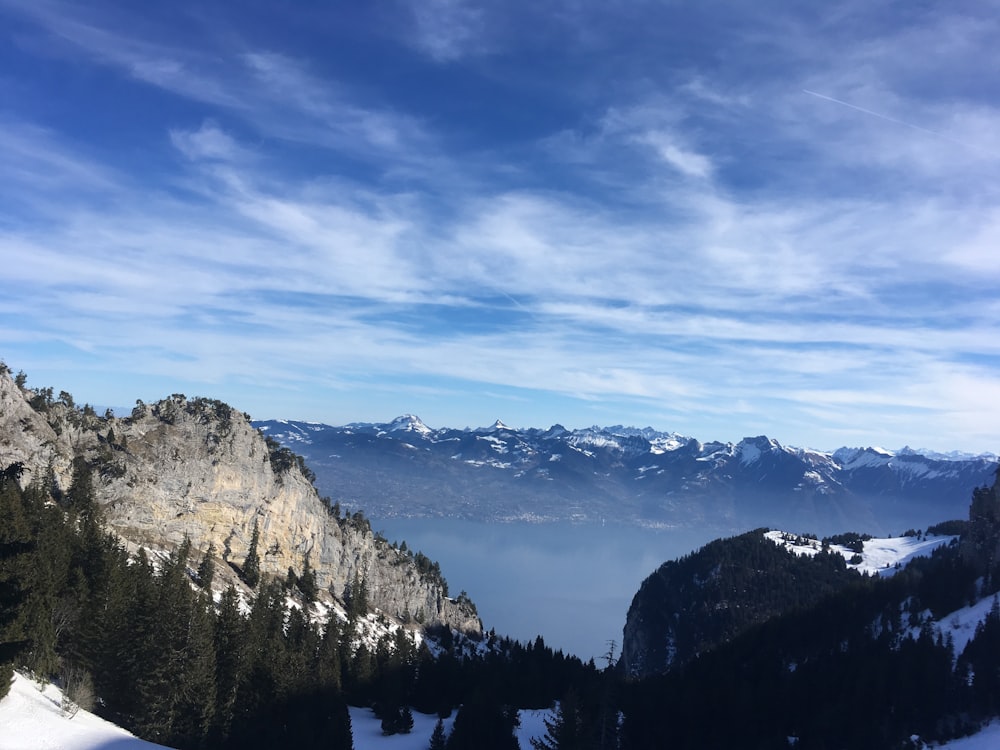 green trees on mountain under blue sky during daytime