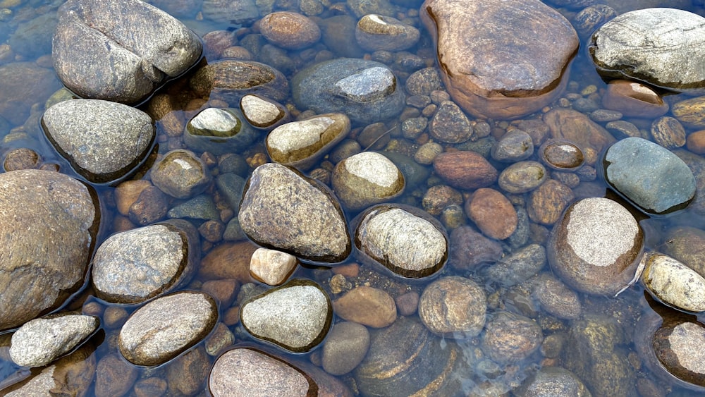 Piedras marrones y grises sobre el agua