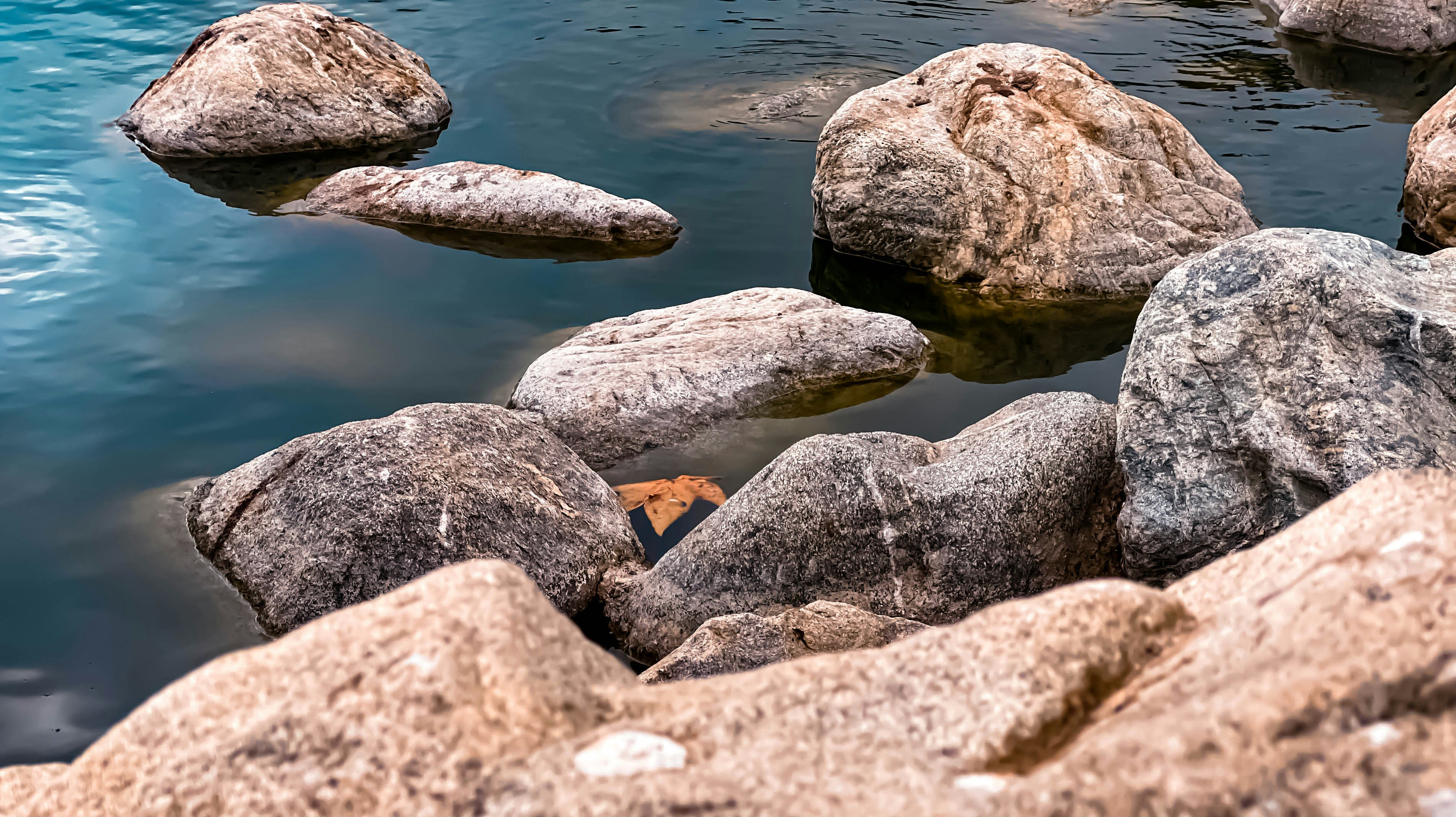 Photo by montero_moments