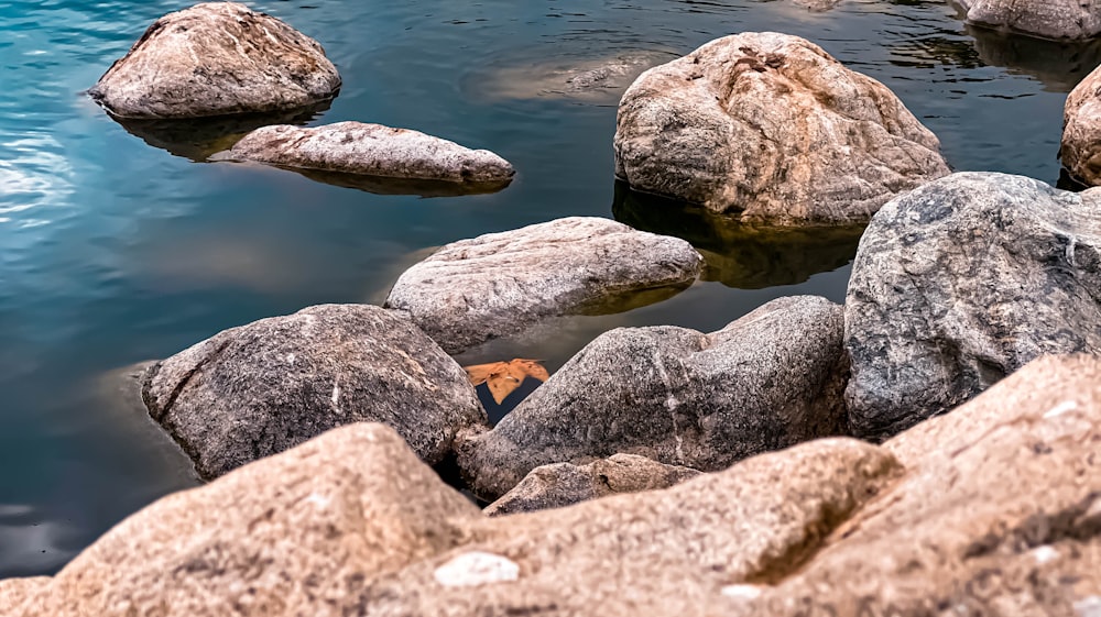 gray and brown rocks on river