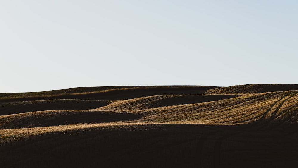 brown sand under white sky during daytime