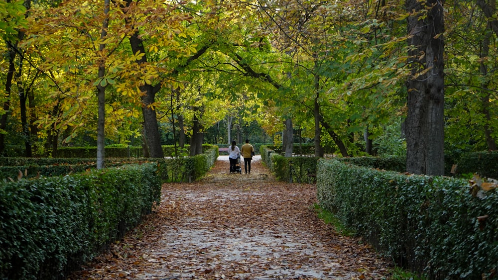 2 person walking on pathway between green trees during daytime