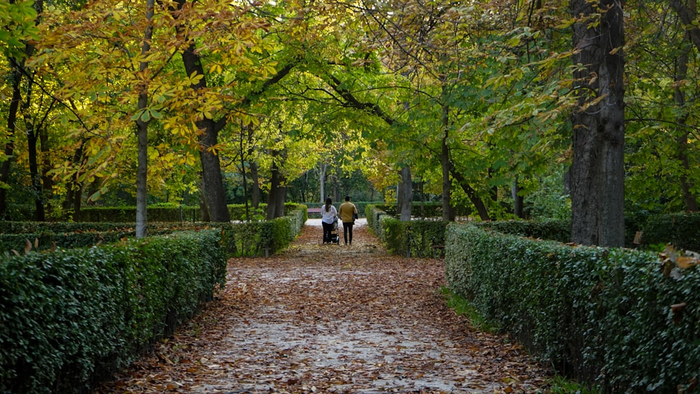 2 personas caminando por el sendero entre árboles verdes durante el día