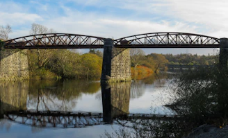 brown concrete bridge over river during daytime