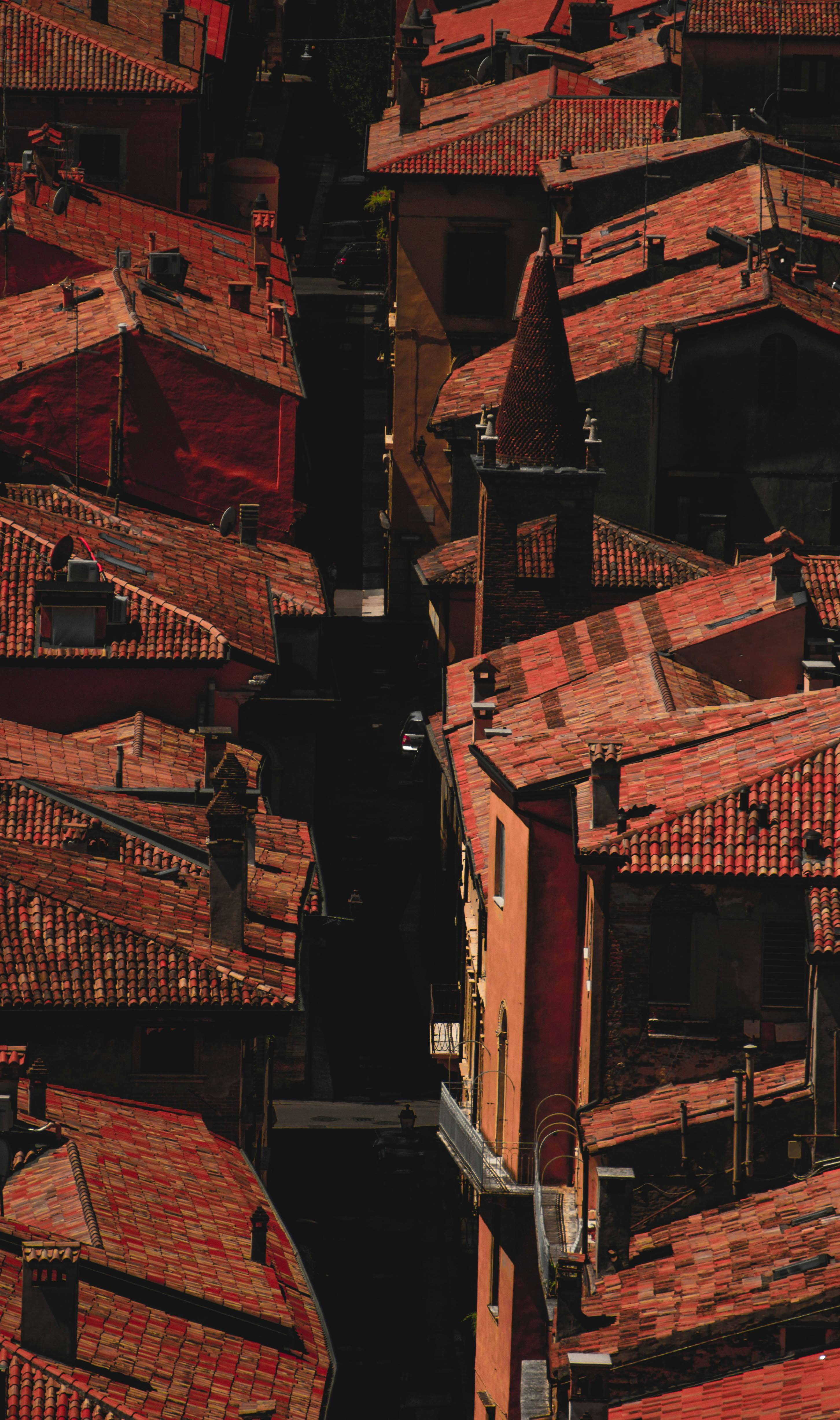 Photo by absolutevision