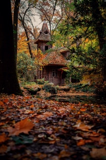 A cozy wooden chalet nestled in a lush green forest during autumn