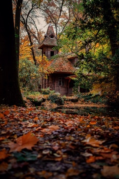 A cozy wooden house nestled in a lush green forest during autumn.