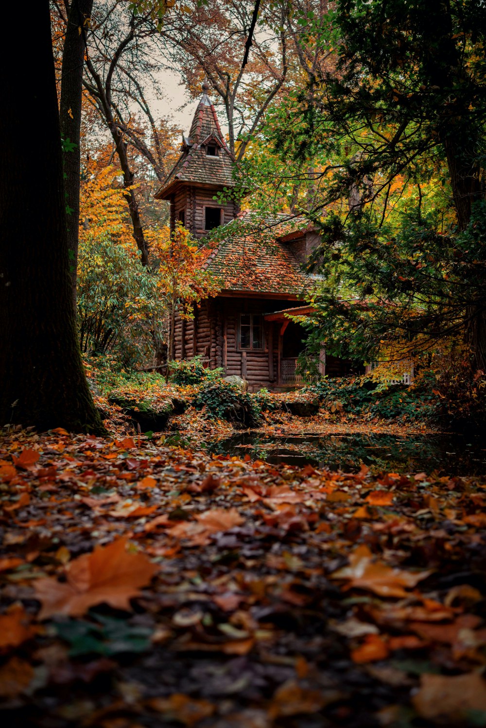 brown and white house in the woods