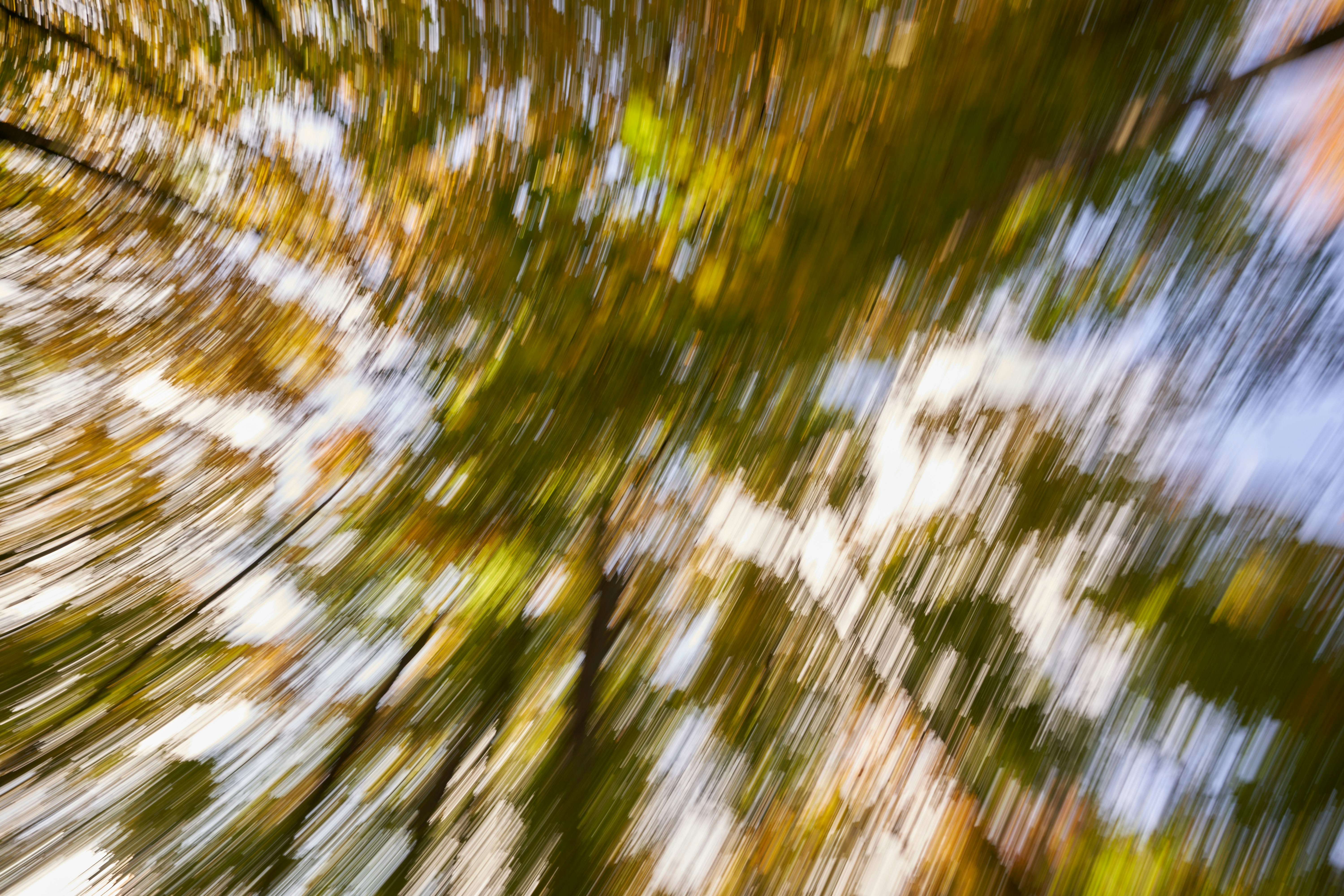 Photo by wolfgang_hasselmann