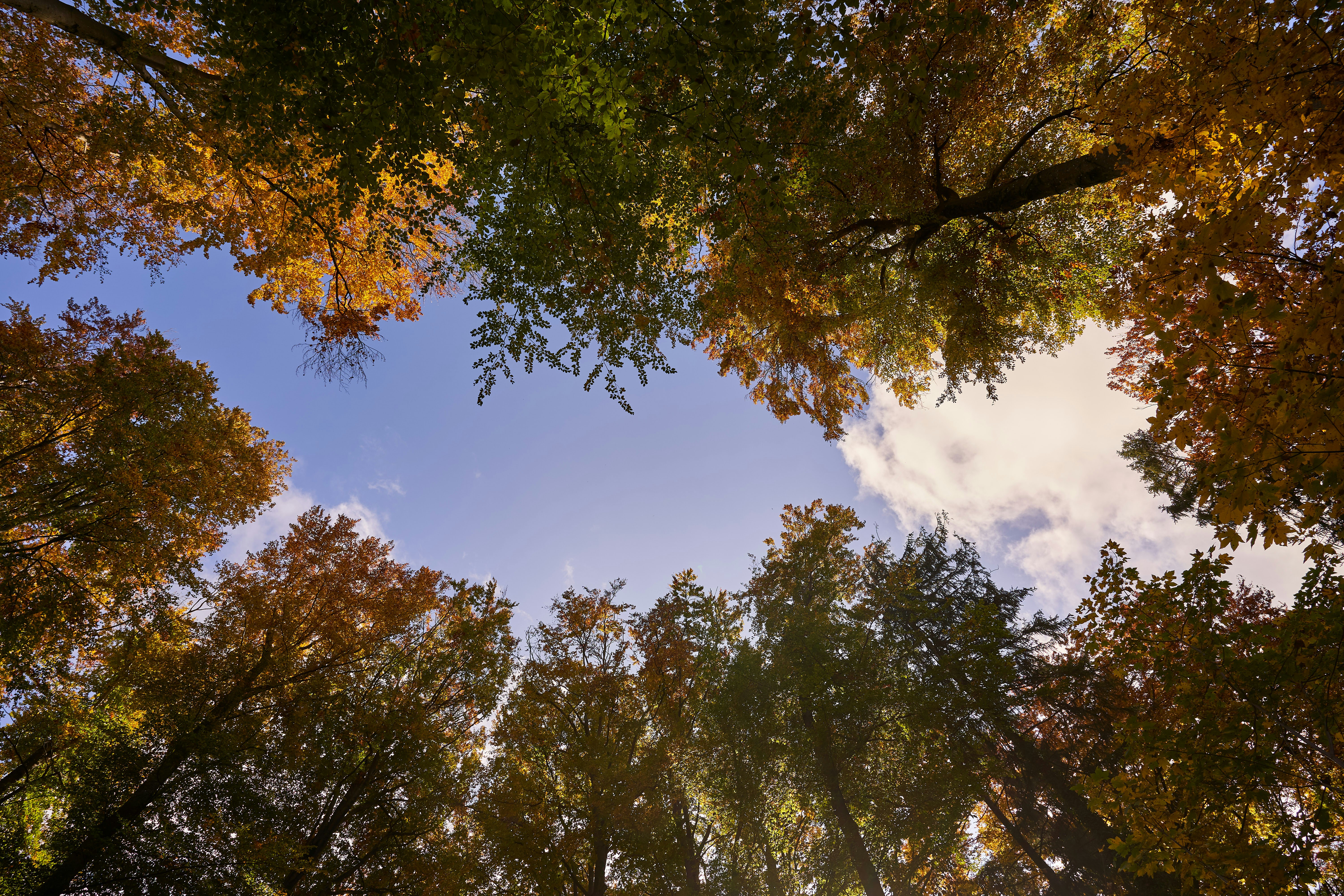 Photo by wolfgang_hasselmann