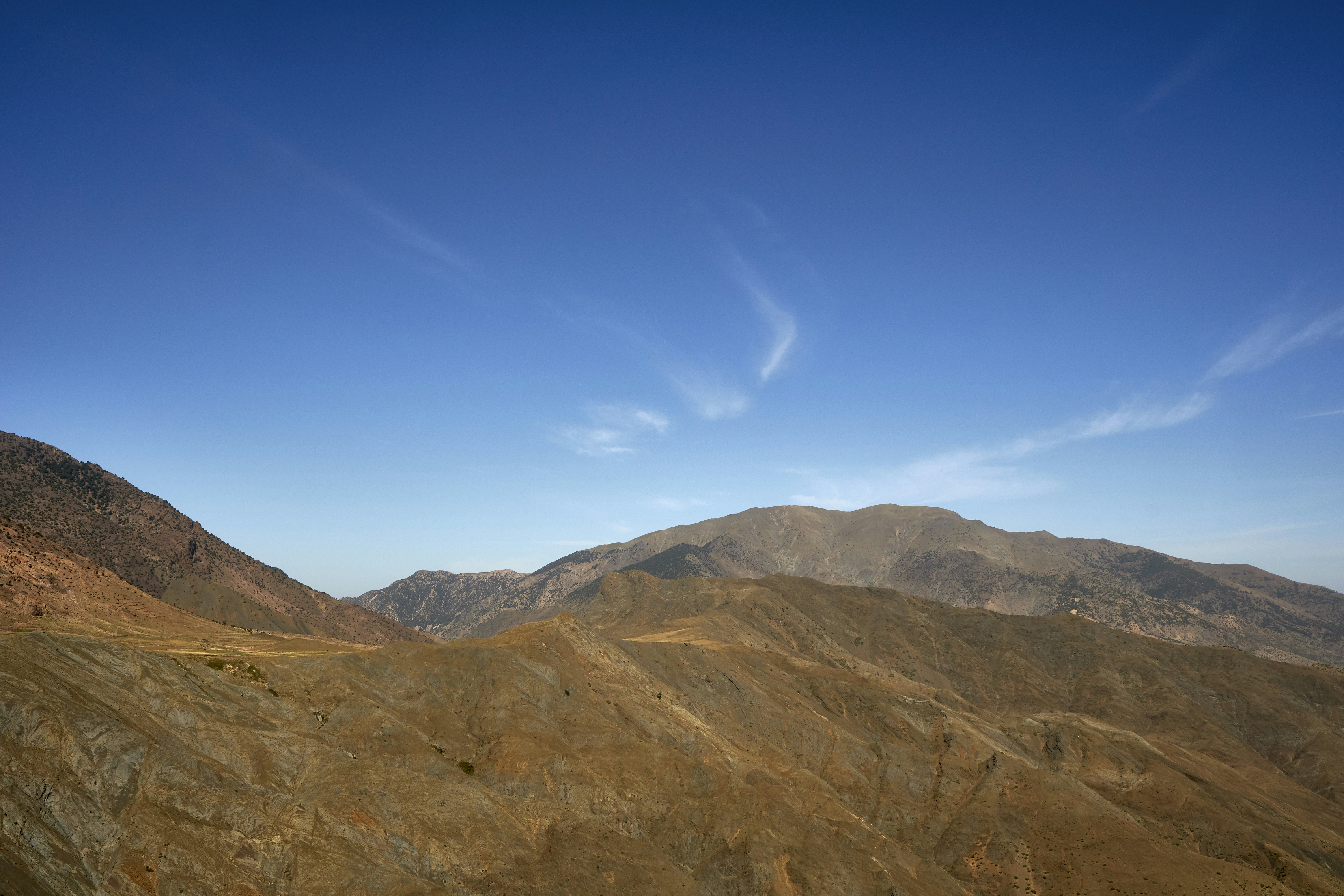 Photo by wolfgang_hasselmann