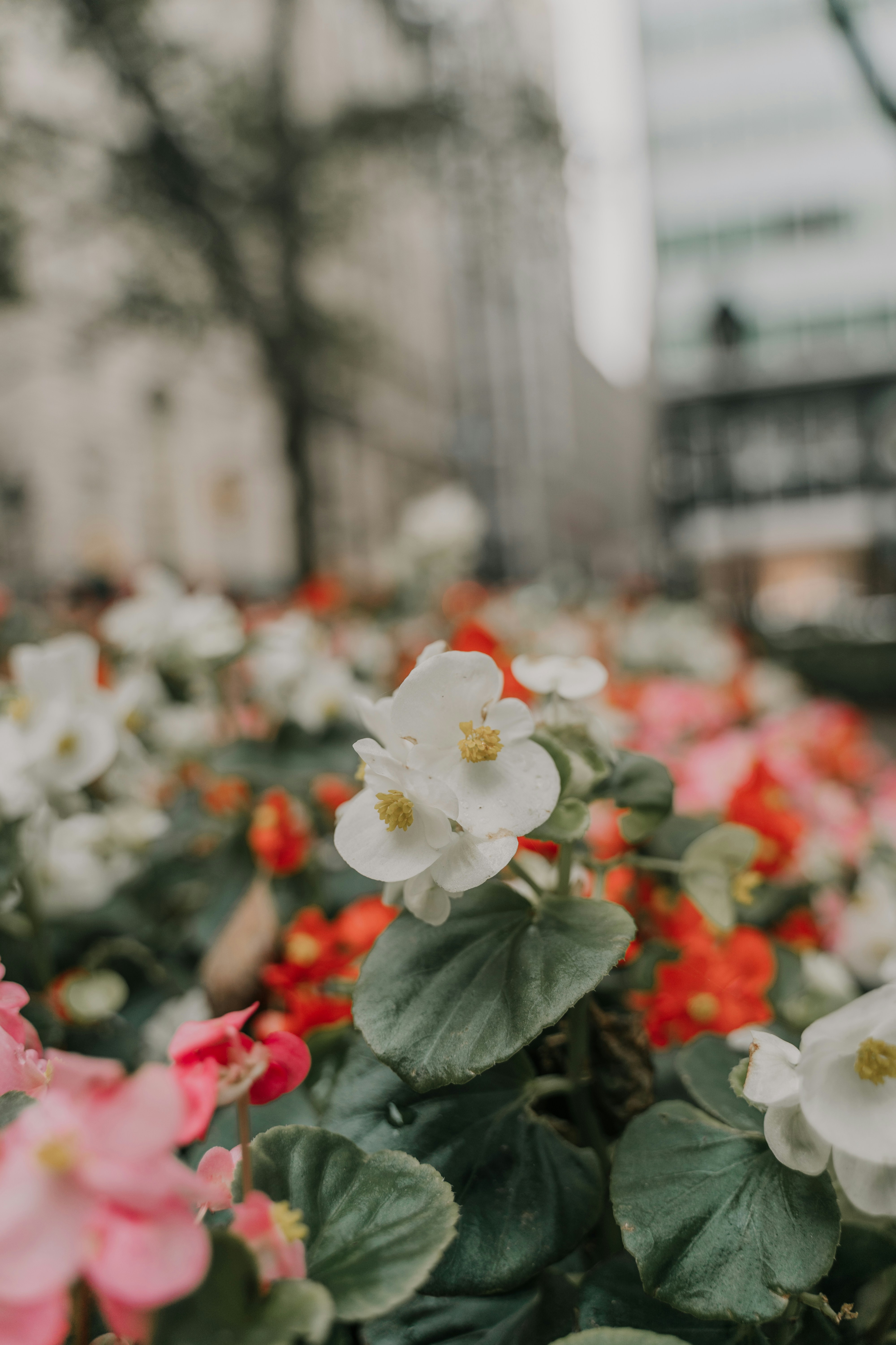 Photo by ronnyrondonph