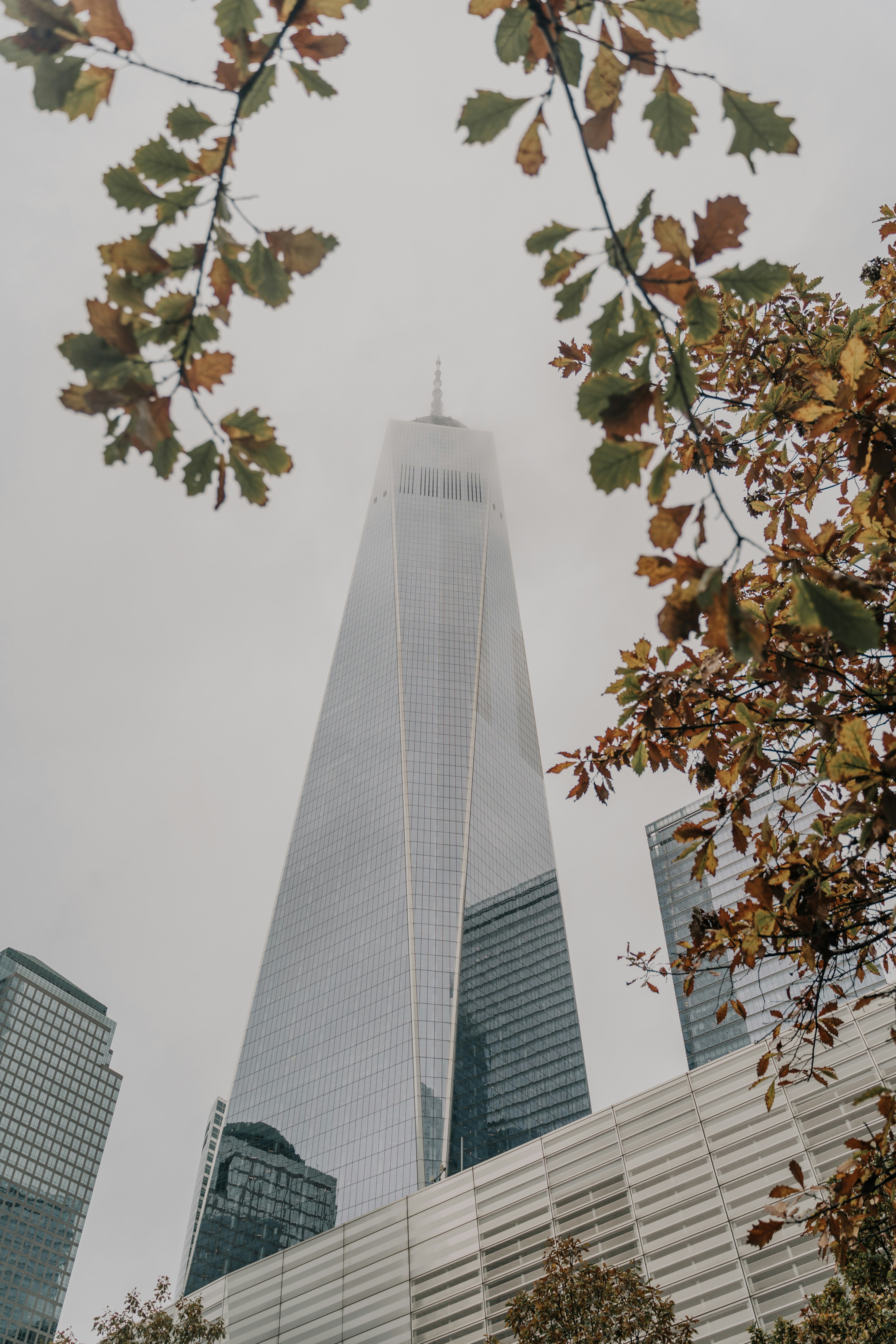 dünya günü ipuçları