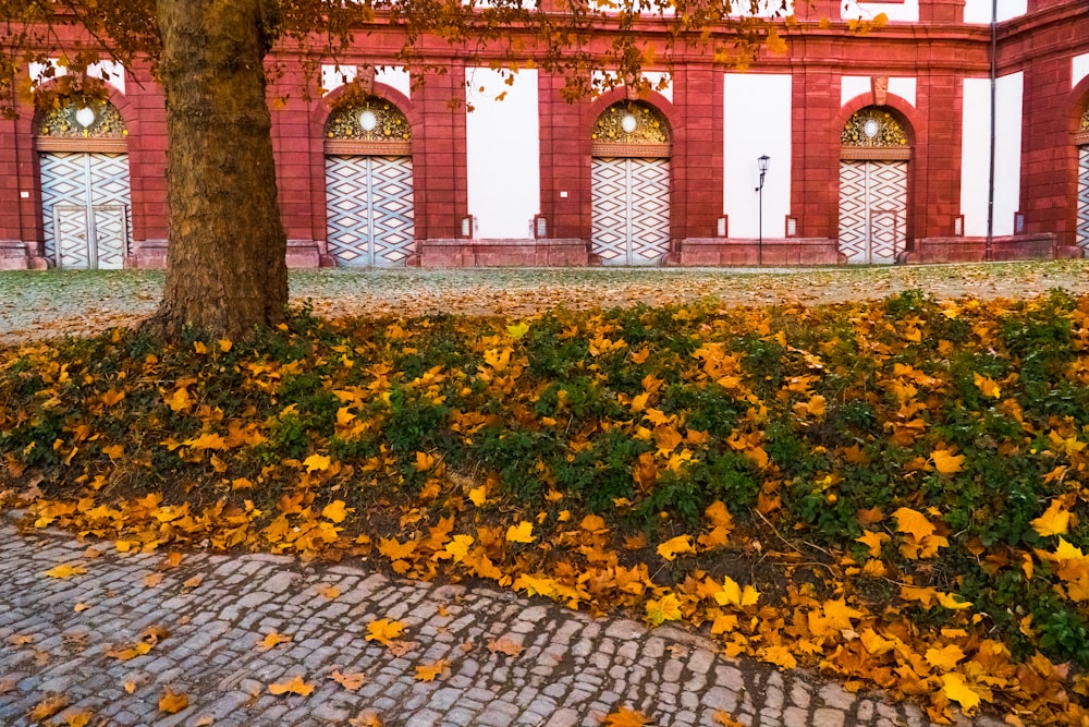 a red brick building with a tree in front of it