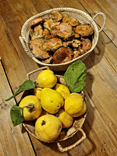 A vibrant harvest basket filled with fresh huitlacoche, mushrooms, and Brussels sprouts on a rustic wooden table.