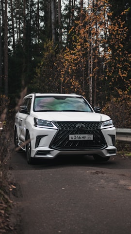 A sleek SUV parked on a scenic mountain road with autumn leaves around.