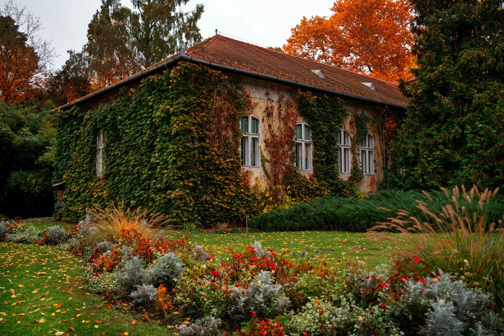 brown and white concrete house surrounded by green trees and plants during daytime