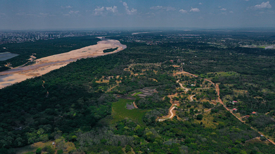 Vista aérea de bosque amazónico y un río con playas de arena
